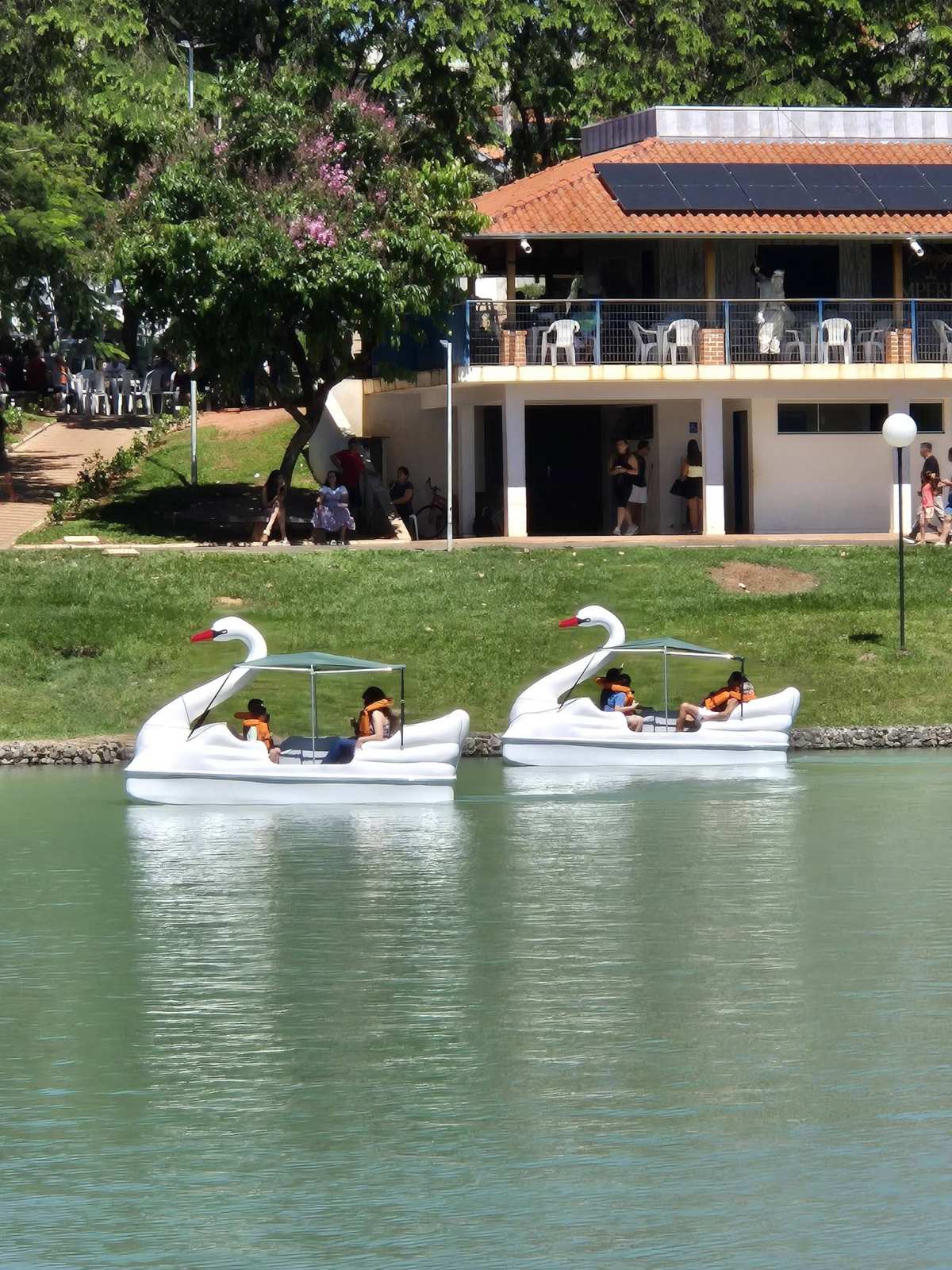 Pedalinhos da Lagoa. Fotos: Raul Casagrande / Divulgação em Facebook.